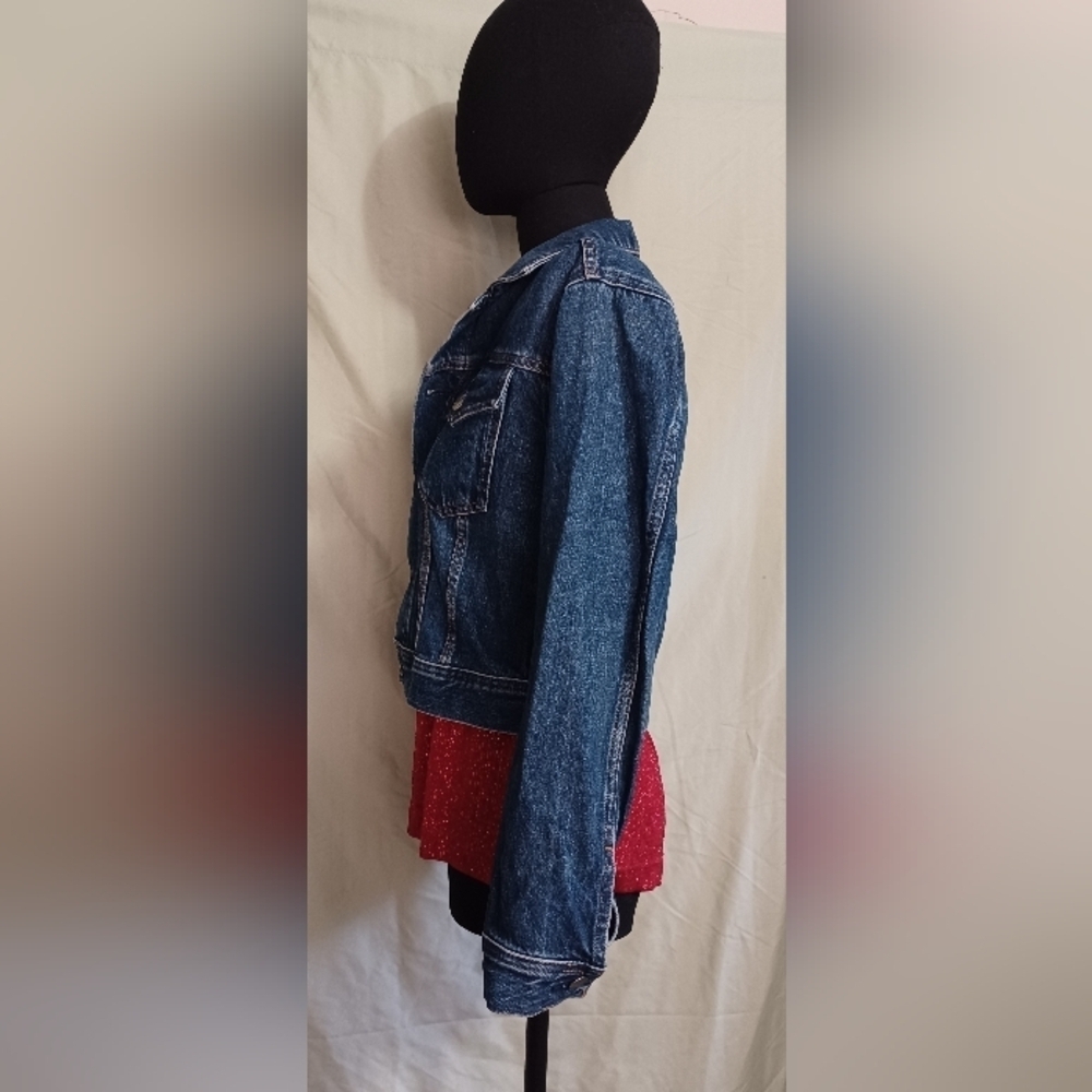 Everlane The Shrunken Denim Jacket - Picture 5 of 11